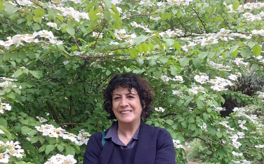 Aslı Güneş