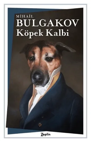 Köpek Kalbi
